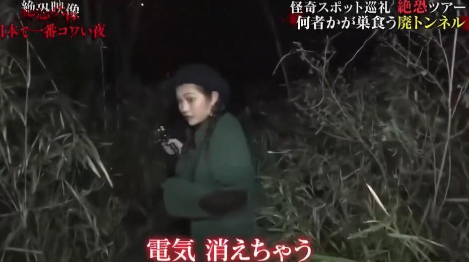 揭露真相之夜！《世界恐怖之夜》视频综艺糖衣包裹的惊悚